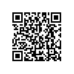 Y162513K5000B24R QRCode