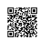 Y16251K20000B9R QRCode