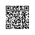 Y16251K28000T9R QRCode