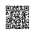 Y16251K80300T0R QRCode