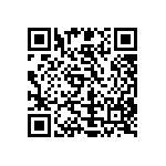 Y16253K48000B24W QRCode