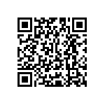 Y16281K20000T9W QRCode