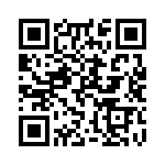 Y1685V0060TT0R QRCode