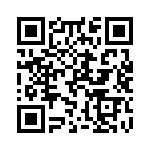 Y1691V0004TT0L QRCode