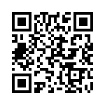 Y1691V0030BQ0L QRCode