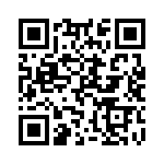 Y1691V0055VV9L QRCode