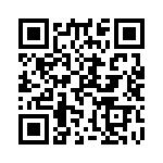 Y1691V0094QT0L QRCode