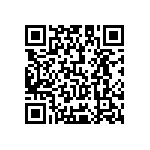 Y1725100K000B9L QRCode