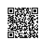 Y17451K00000Q9R QRCode