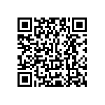 Y17451K20000T0L QRCode