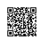 Y17451K33000T0R QRCode