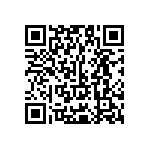 Y17453K30000T9L QRCode