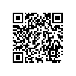 Y1750250K000V9L QRCode