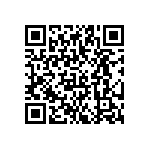 YB25WSKW01-5D-JD QRCode