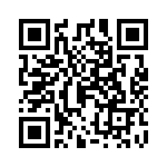 02810010H QRCode