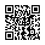 0295100-U QRCode