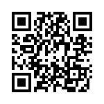 0310389 QRCode