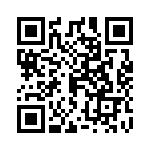 03400313Z QRCode