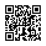 0387290407 QRCode