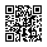 0387306905 QRCode