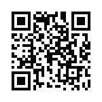 0387390611 QRCode