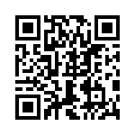 0387601703 QRCode