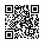 0387700704 QRCode