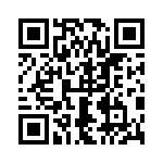 0395100017 QRCode