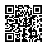 0399100404 QRCode