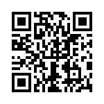 0399400411 QRCode