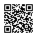 04023C391KAT2A QRCode