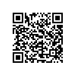 0402BB333K250NGT QRCode