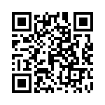 0402YD333KAT2A QRCode