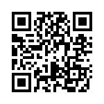 04Z2009 QRCode