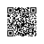 0505J0631P80DQT QRCode