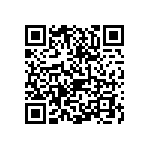 0505J1001P80CQT QRCode