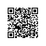 0505J3003P60BQT QRCode