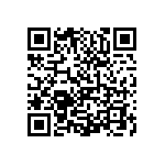 0505Y2009P10DQT QRCode