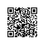 0505Y2500130FQT QRCode