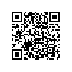 0505Y2503P60BQT QRCode