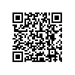 0505Y3001P80DQT QRCode