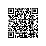 0505Y3001P90DQT QRCode