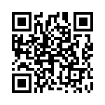 0717487 QRCode