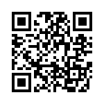 0873819004 QRCode