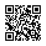 09110006161 QRCode