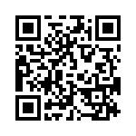 09110006213 QRCode