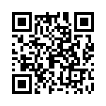 09150006251 QRCode