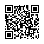 09150006271 QRCode