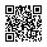 09152000313 QRCode