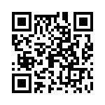 09153000305 QRCode